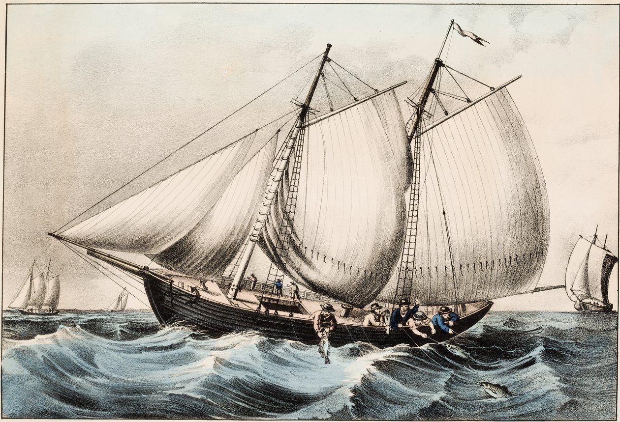Lov tresky u Newfoundlandu, hospoda. 1872 od American School