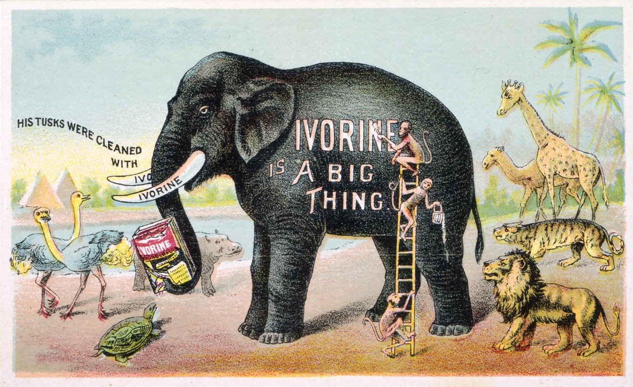 Ivorine is a Big Thing (barva litho [obchodní karta]) od American School