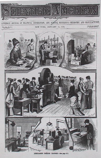 Lorillards Tobacco factory, od Scientific American, 11. ledna 1879 od American School