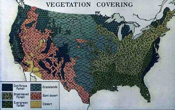 Mapa zobrazující vegetaci pokrývající Spojené státy americké, z The Pageant of America, Vol.3, od Ralpha Henryho Gabriela, 1926 od American School