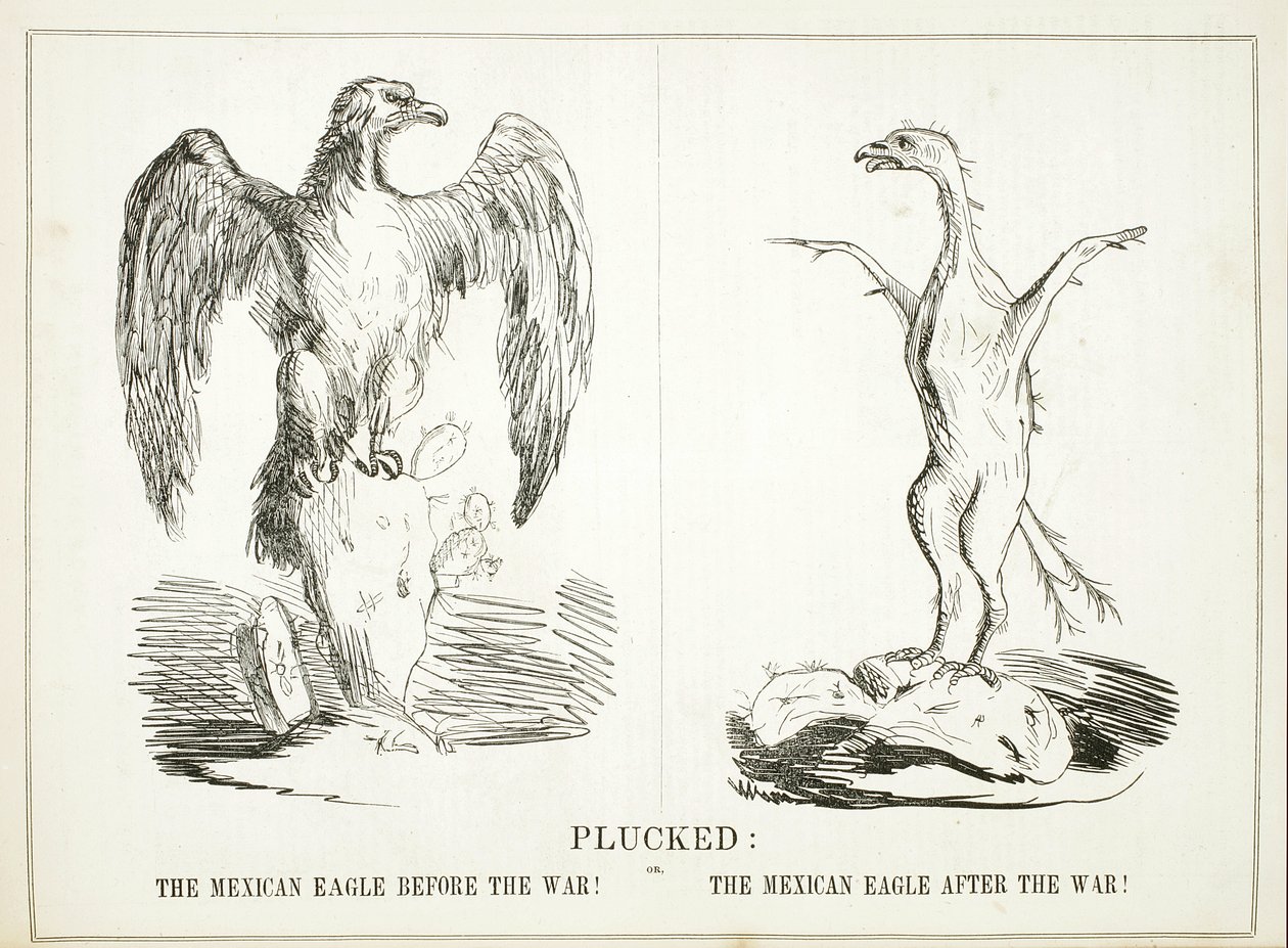 Oškubaný: aneb, Mexický orel před válkou! Mexický orel po válce!, 1847 od American School