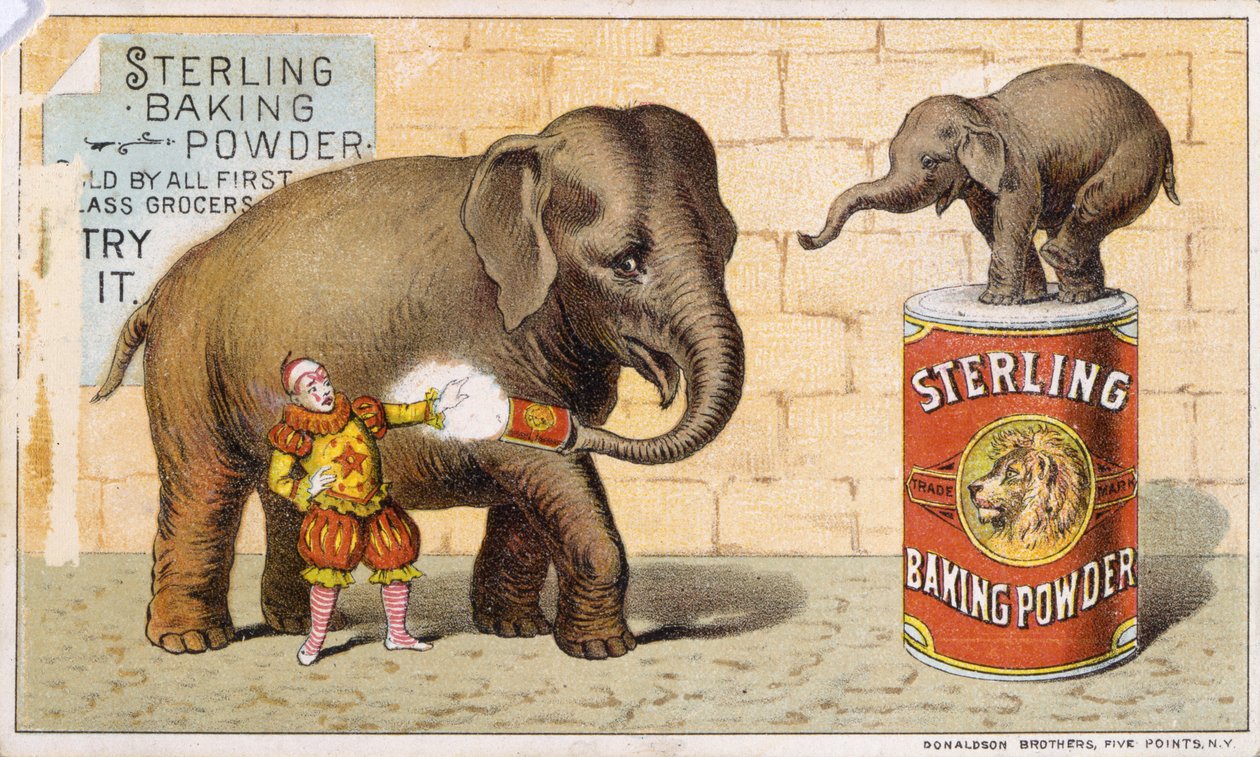 Sterlingový prášek do pečiva (barva litho [obchodní karta]) od American School