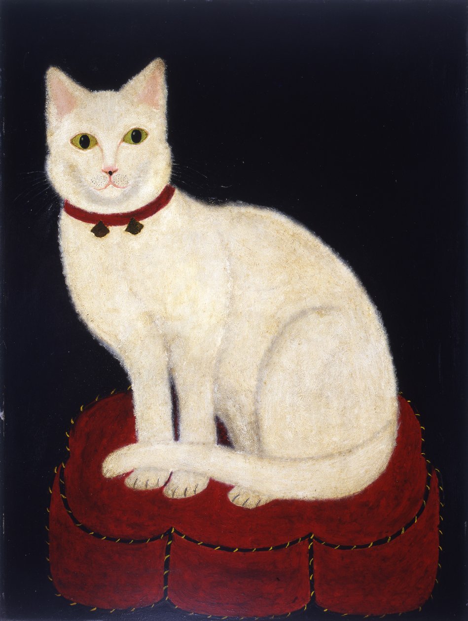 Tinkle, a Cat, 1883 (olej na desce akademie) od American School