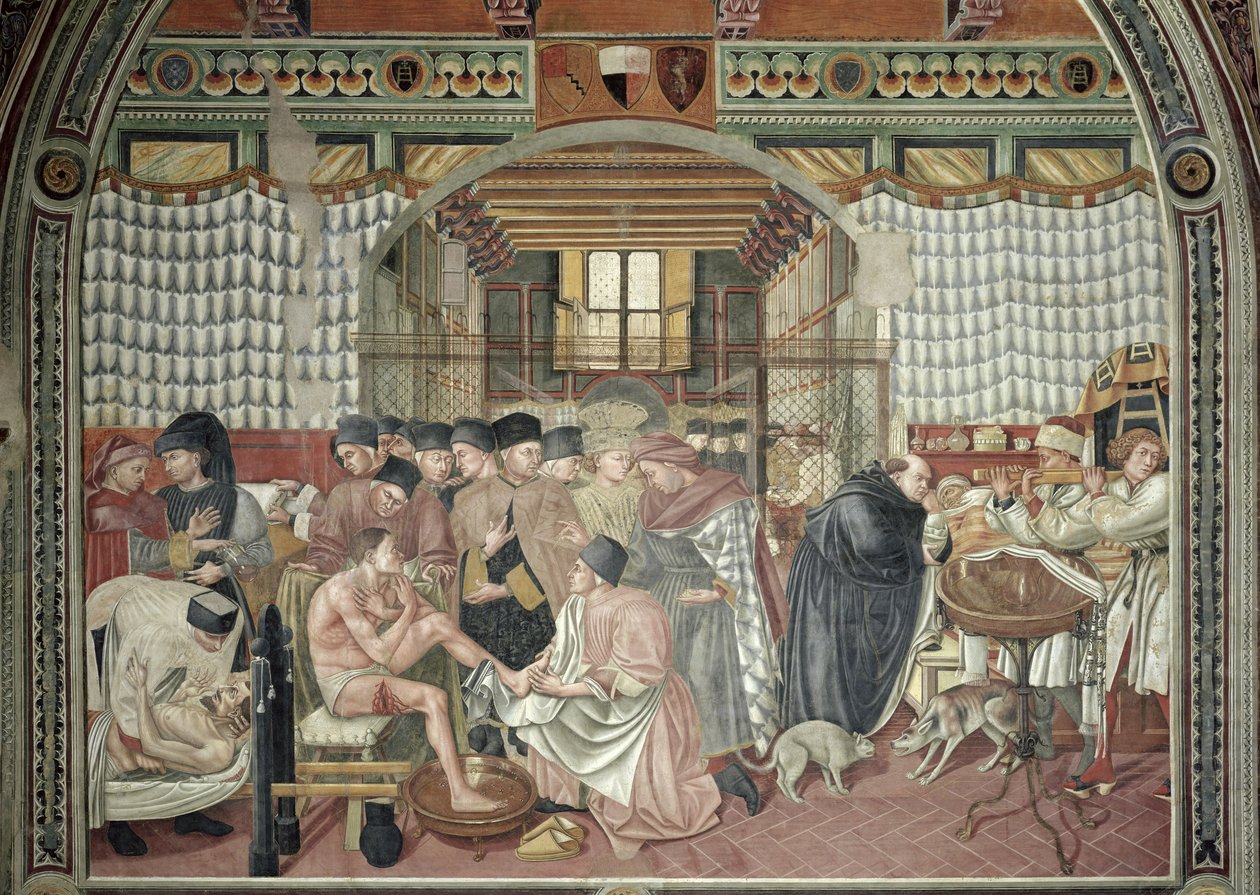 Péče o nemocné, 1440-41 od Domenico di Bartolo