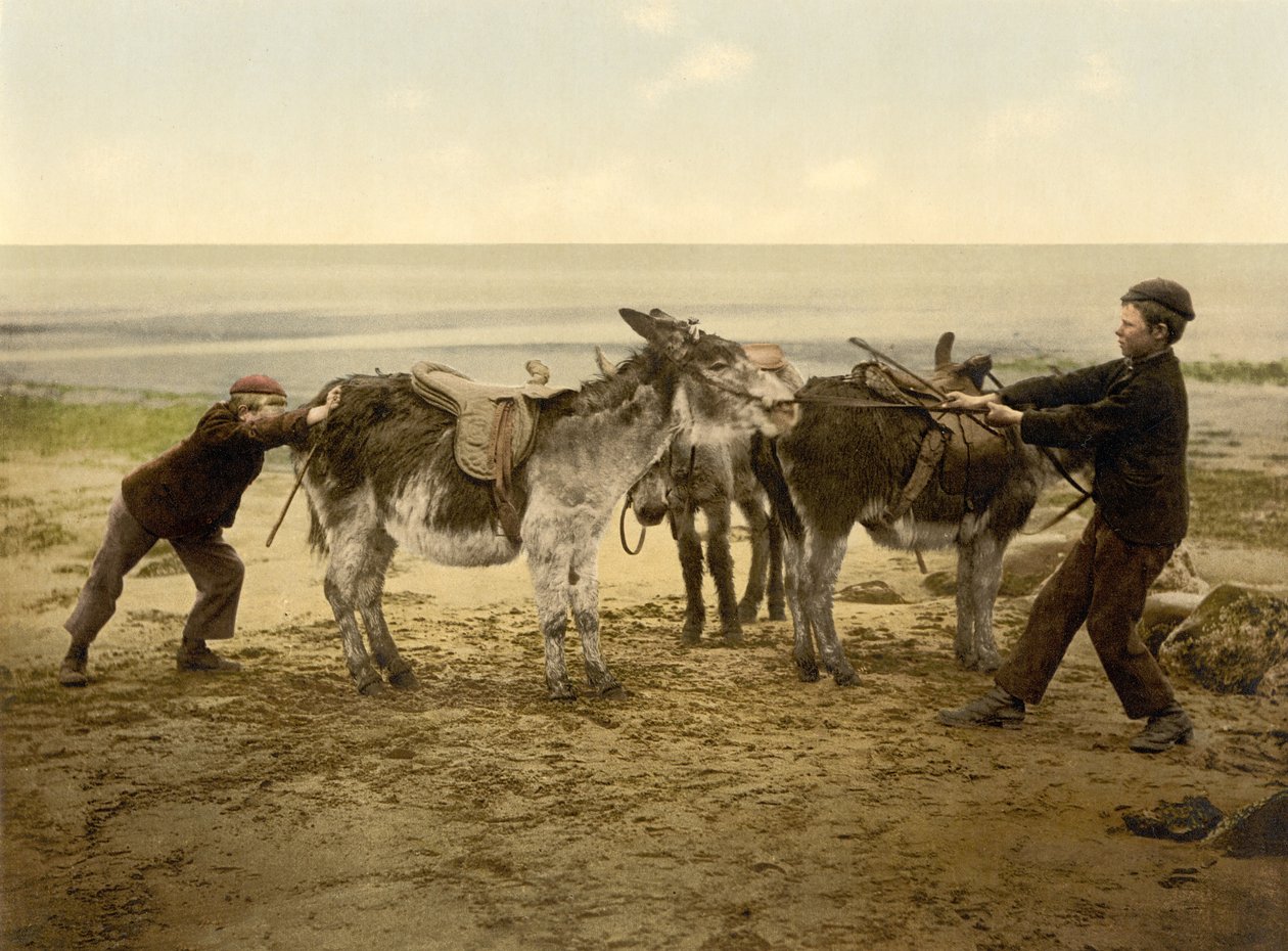 Osli na pláži, hospoda. c.1890 - 1900 (chromolitograf) od English Photographer