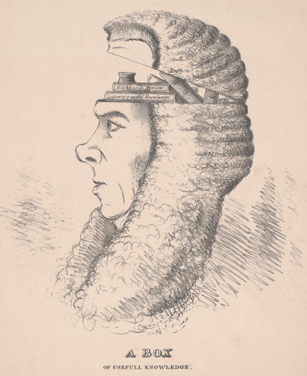 Krabice užitečných znalostí: Karikatura Brougham, 1832 od English School