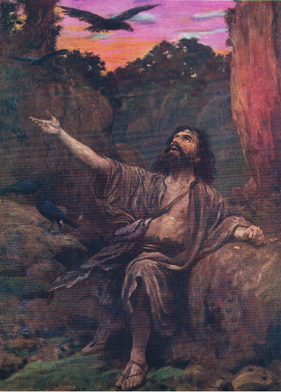 Elijah and the Ravens, z The Bible Picture Book vydané Thomasem Nelsonem, c.1950 od English School