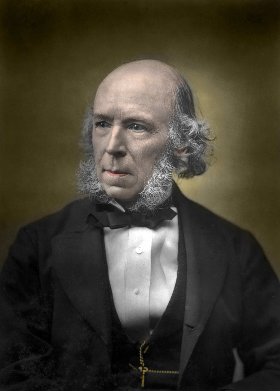 Portrét Herberta Spencera od English School