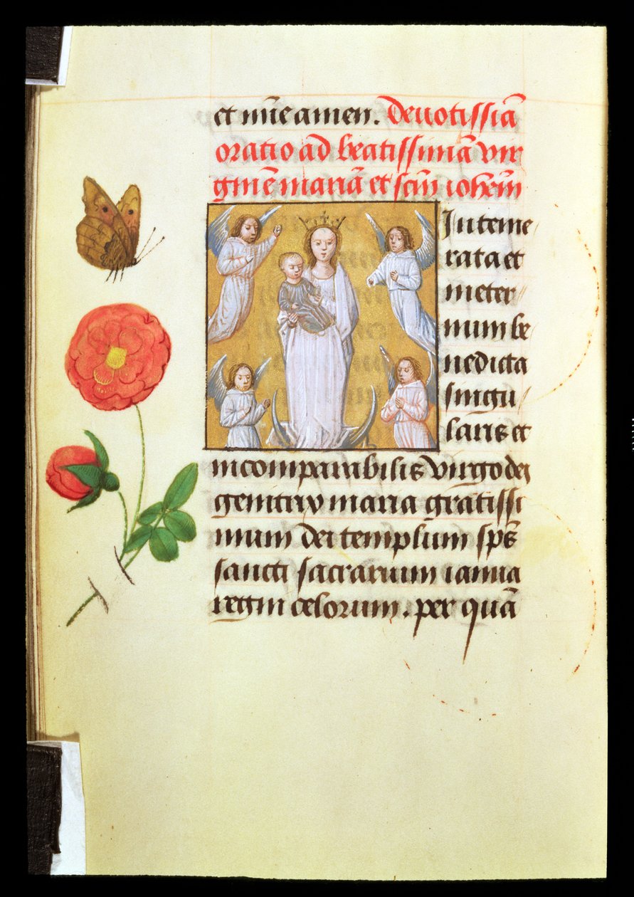 Stojící panna a dítě, zbožňované anděly, kolem 1515-20 (tempera a zlatá barva na pergamenu) od Flemish School