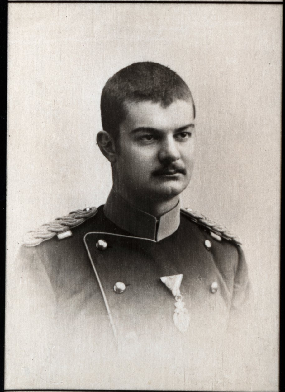Portrét Alexandra I. Obrenoviče ze Srbska (1876-1903), krále Srbska. od French Photographer