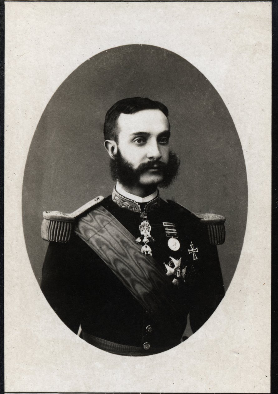 Portrét španělského krále Alfonse XII. (1857-1885). od French Photographer