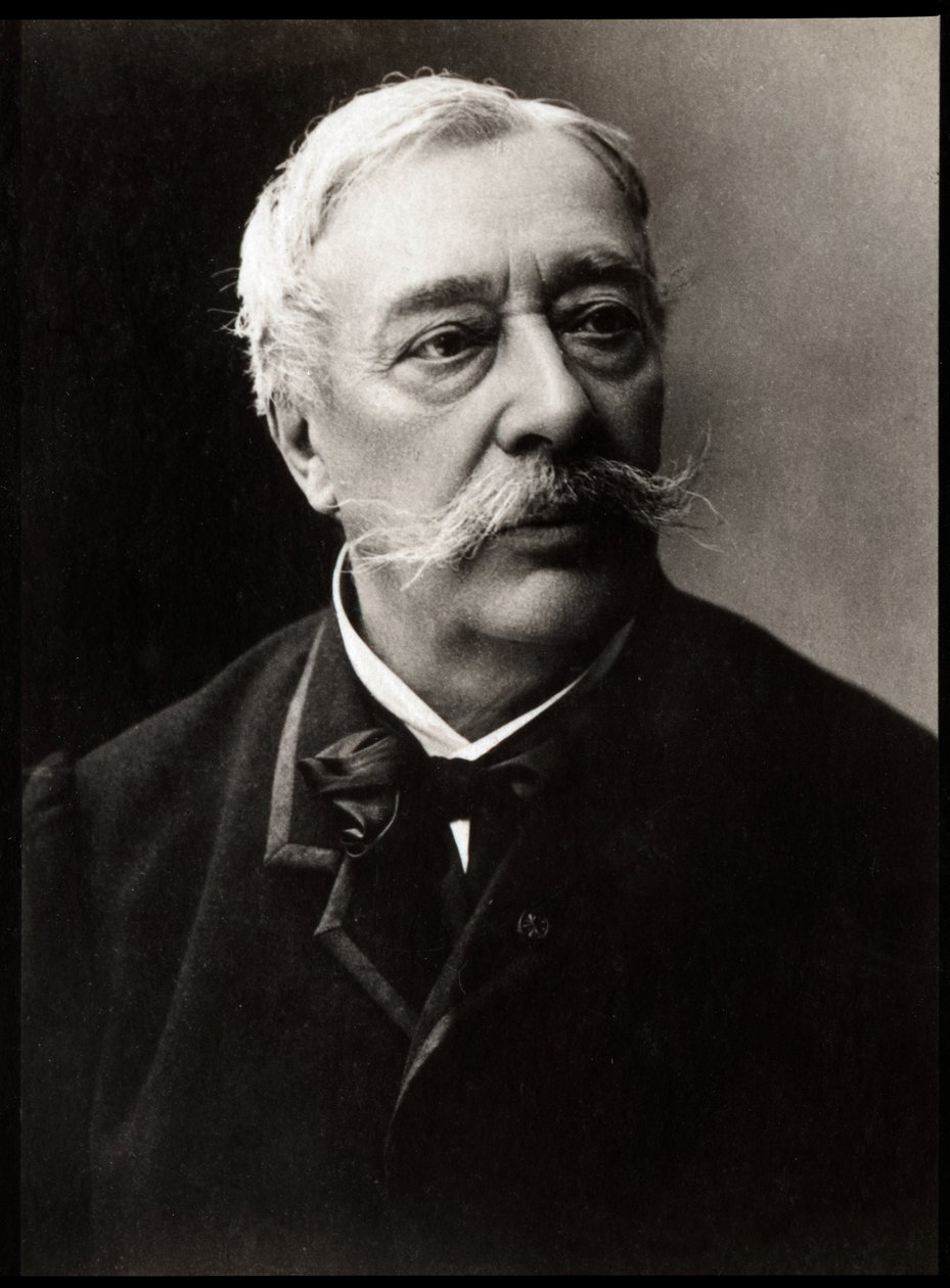 Portrét Alfreda Stevense (1823-1906), francouzského malíře. od French Photographer