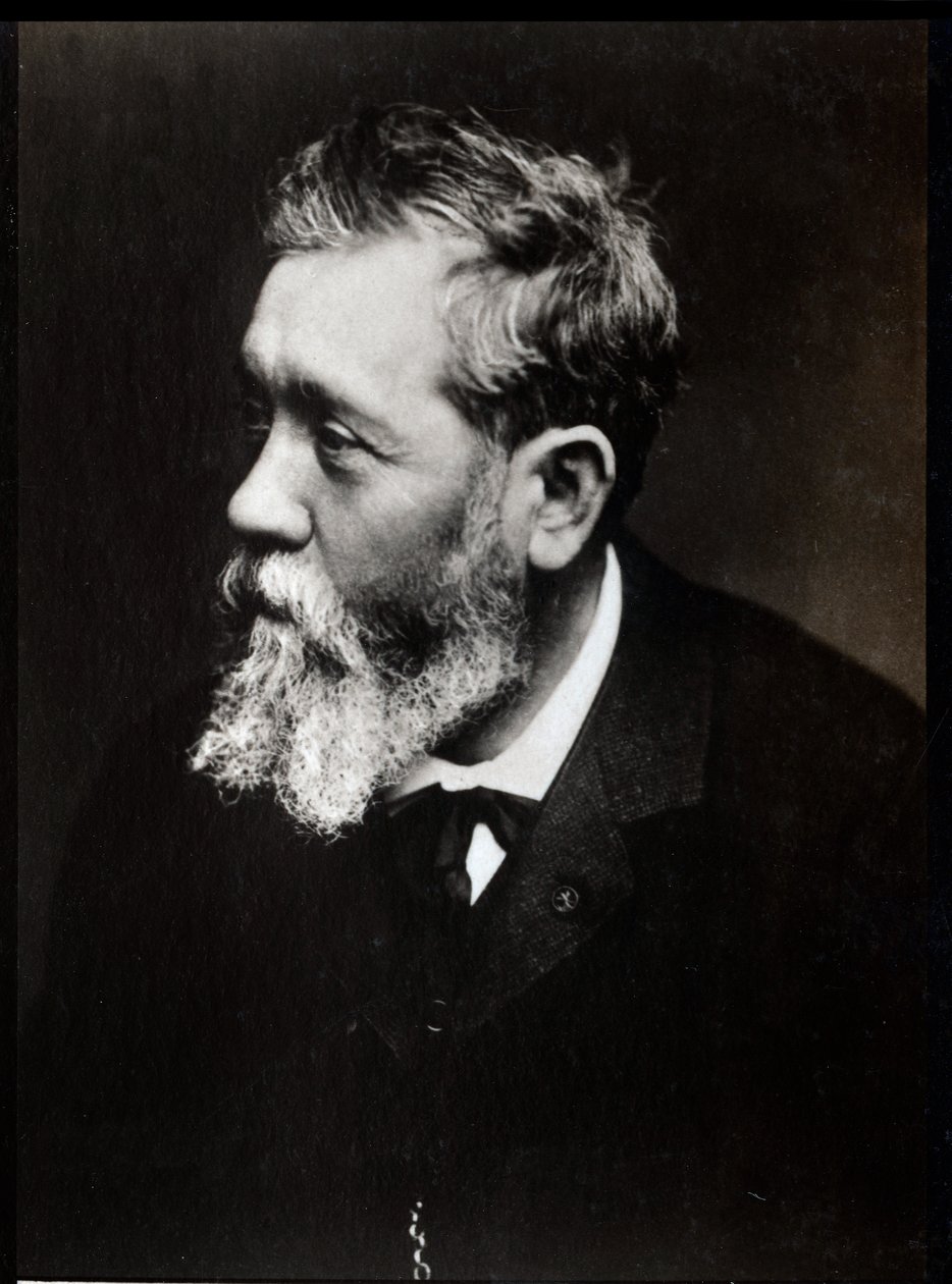 Portrét Antoina Vollona (1833-1900), francouzského malíře. od French Photographer