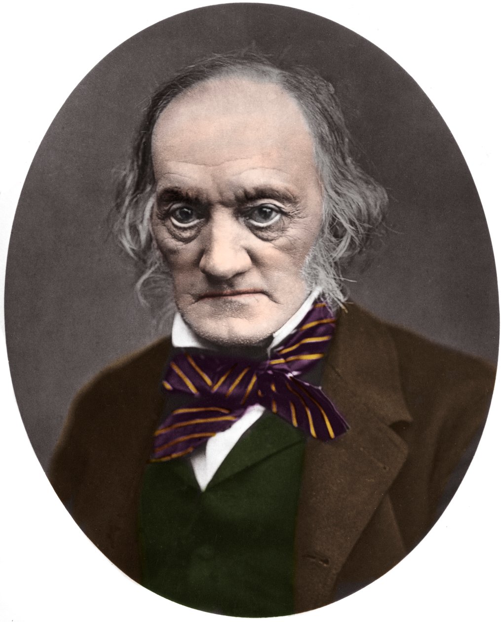 Portrét britského paleontologa a anatoma Sira Richarda Owena (1804-1892) od French Photographer