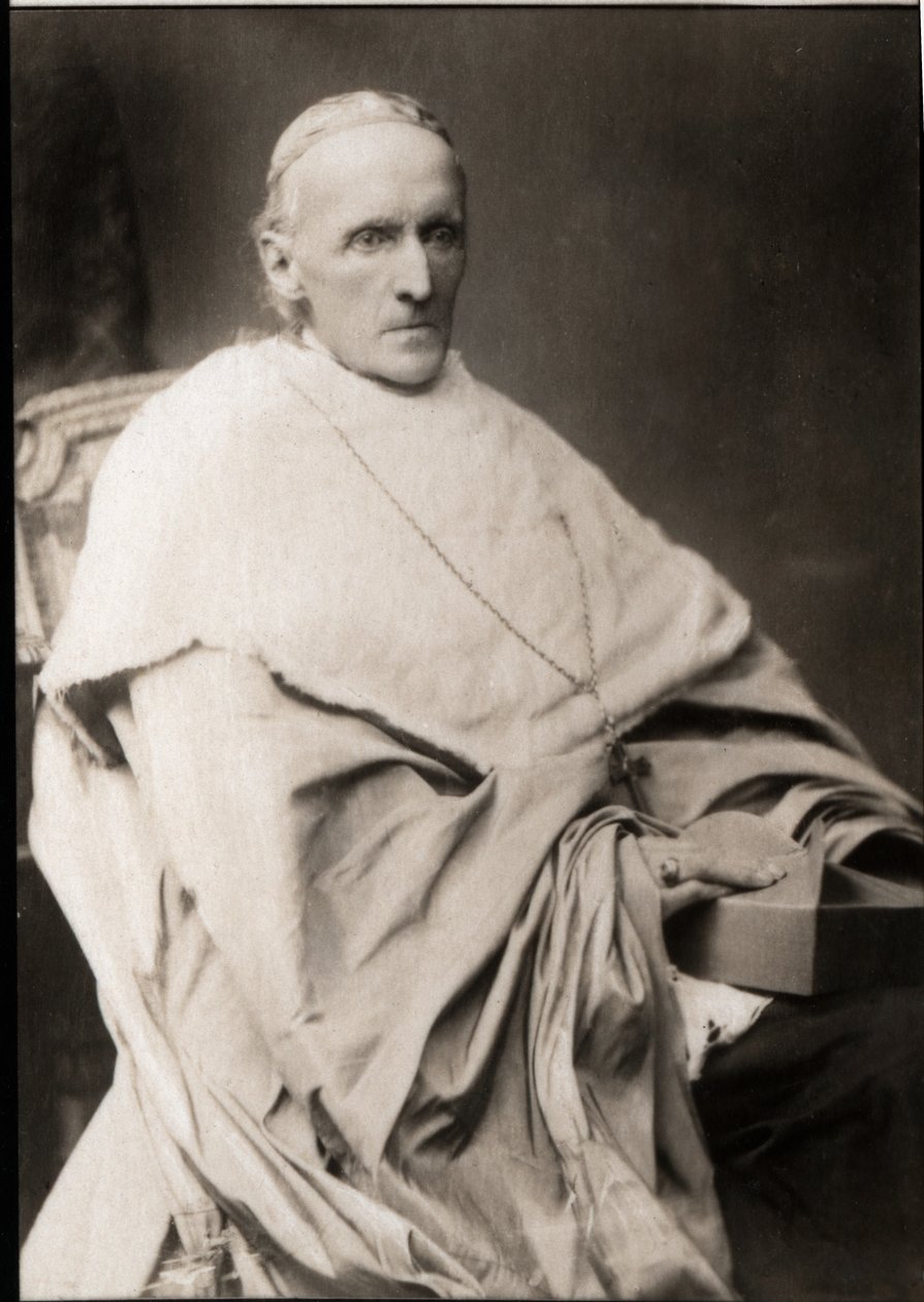 Portrét kardinála Henryho Edwarda Manninga (1808-1892) od French Photographer