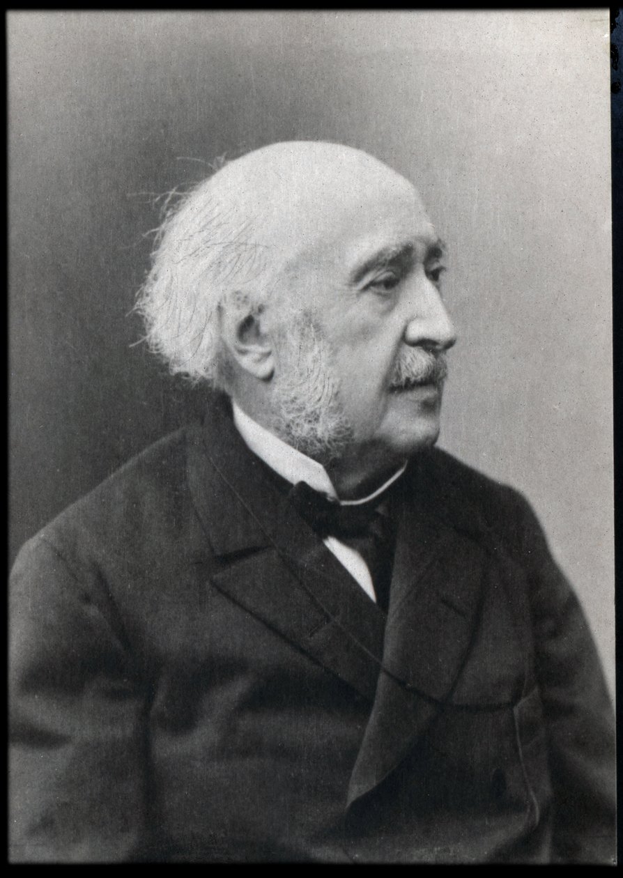 Portrét Francoise Julese Suisse (Jules Simon) (1814-1896), francouzského státníka a filozofa. od French Photographer