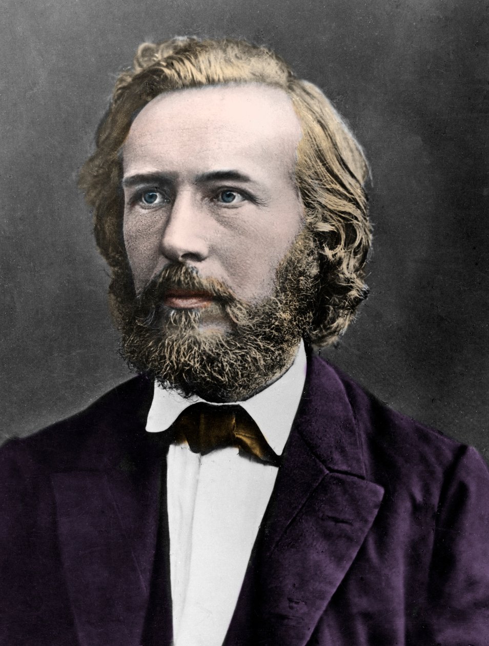 Portrét německého přírodovědce a filozofa Ernsta Heinricha Haeckela (1834-1919). od French Photographer