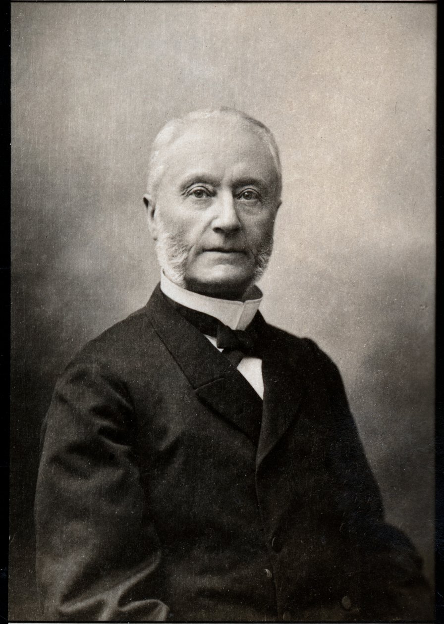 Portrait of Henri Barboux (1834-1910), French lawyer and politician. od French Photographer