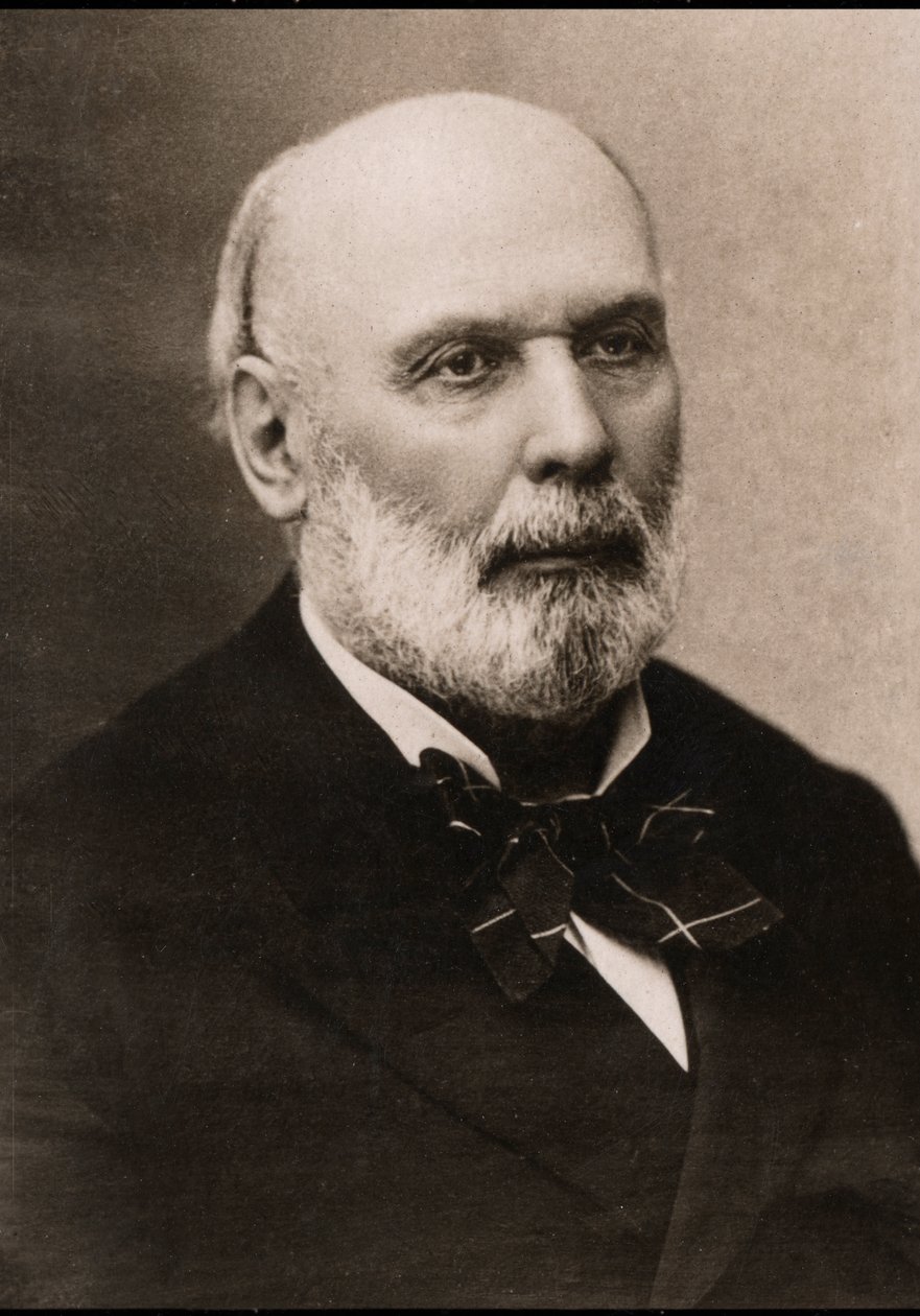 Portrét Julese Grevyho (1807-1891), francouzského politika. od French Photographer