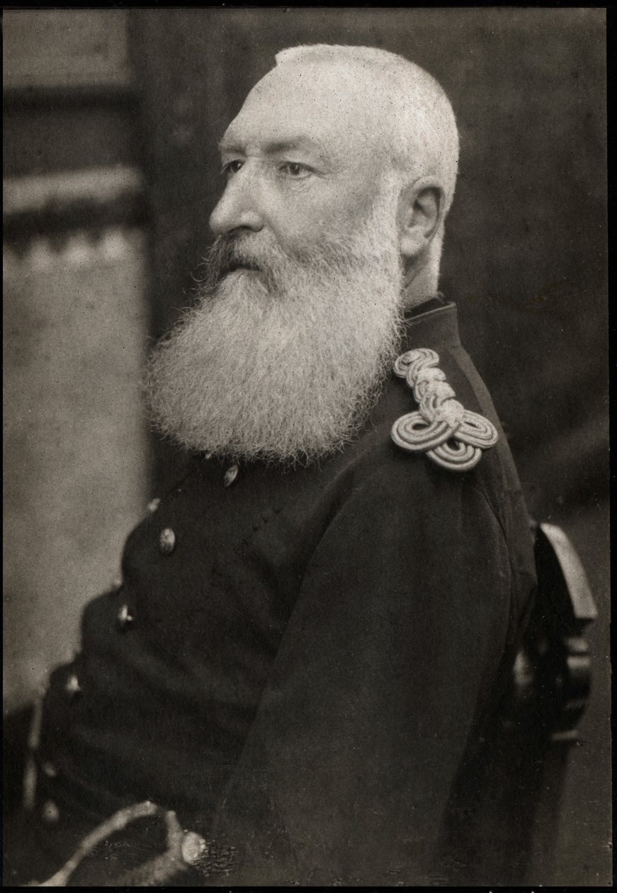 Portrét belgického krále Leopolda II. (1835-1909). od French Photographer