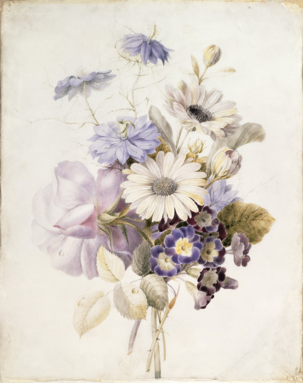 Flowers with Daisies, 1840 (wc na papíře) od French School