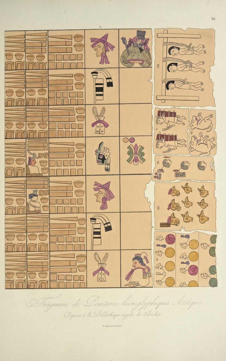 Fragmenty aztéckých hieroglyfických maleb z Královské knihovny v Berlíně, ilustrace z Vues des Cordillères et Monumens des Peuples Indigènes de lAmérique od Alexandra von Humboldta a Aime Bon od French School