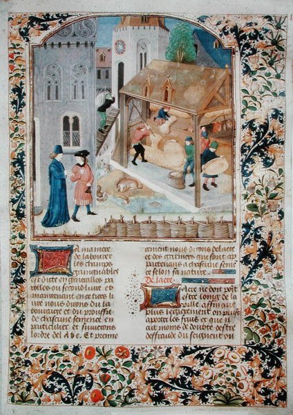 Ms 5064 fol. 35r Threshing, z Livre des Prouffitz Champestres od Pietra de Crescenzi (1230-132021) od French School