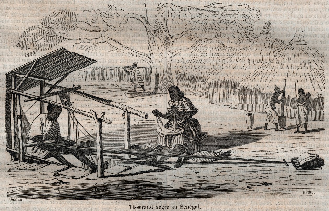 Senegalský černý tkadlec od French School