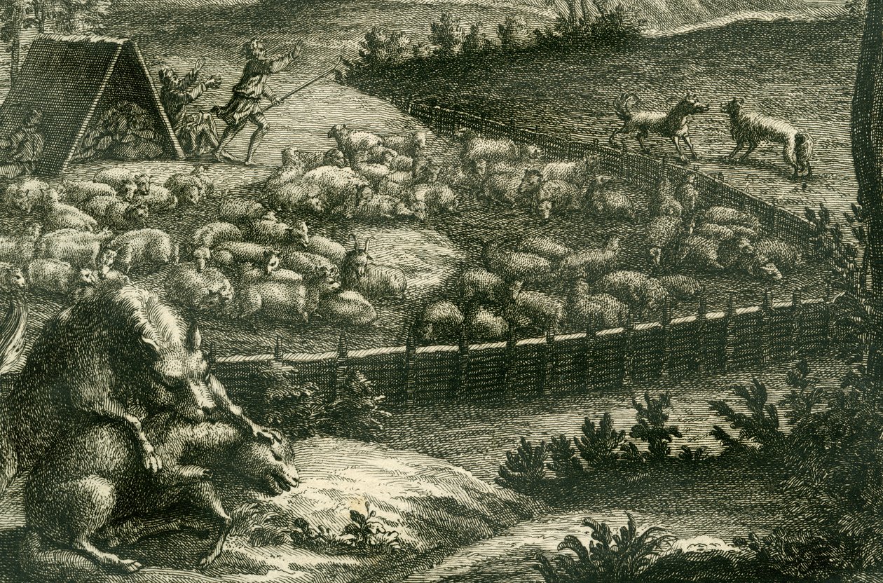 Vlk útočící na ovci, 1731 (mědirytina) (detail 398066) od German School
