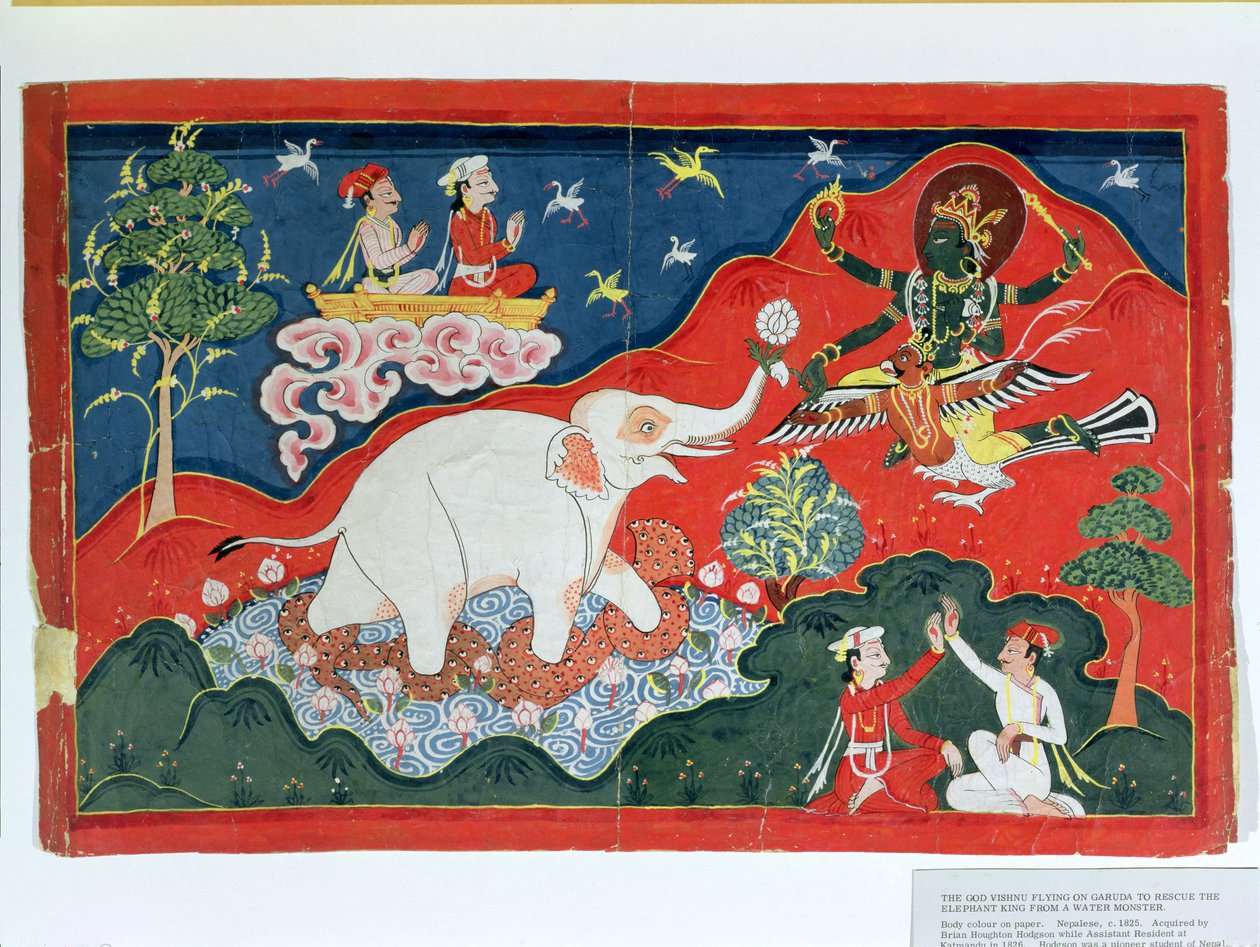Bůh Višnu letí na Garudě, aby zachránil sloního krále před vodní příšerou, Nepál, kolem roku 1825 od Indian School