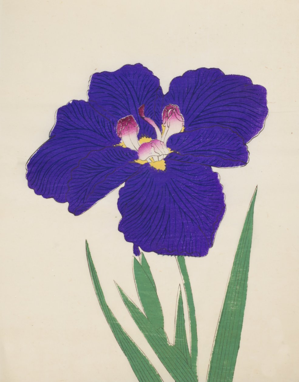 Shira-No-Tamoto, č. 49, 1890 (barevný dřevotisk) od Japanese School