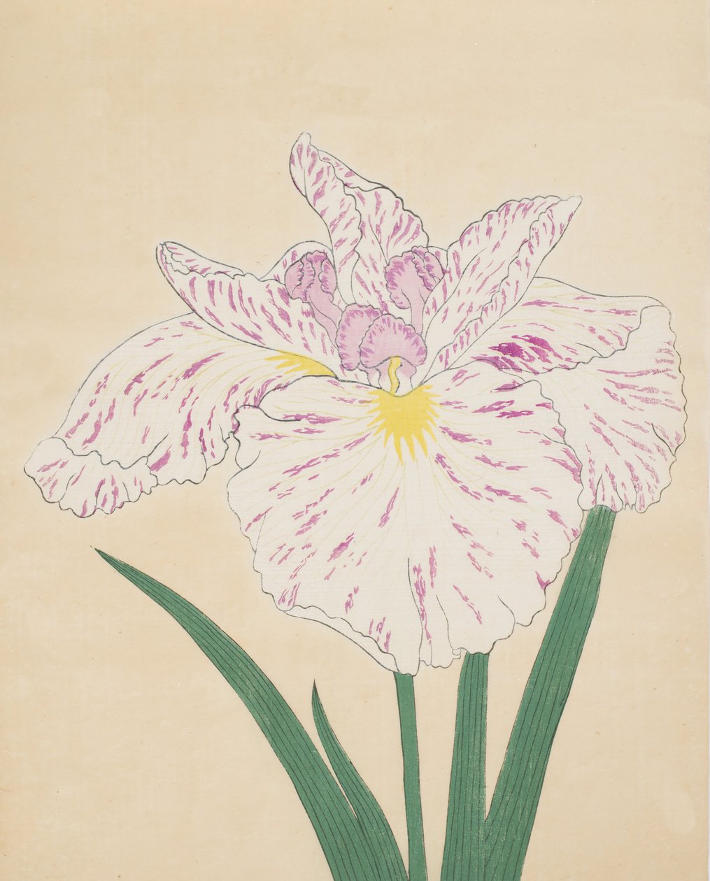 Mlha na řece Ujino. 55, 1890 (Toto je DBock p Hayashi t) od Japanese School