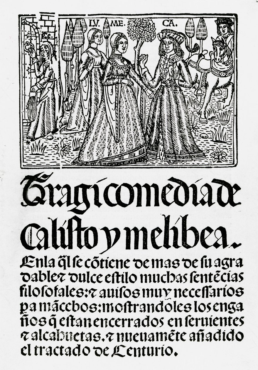 Tragikomedie Calisto a Melibea, 1502 od Spanish School