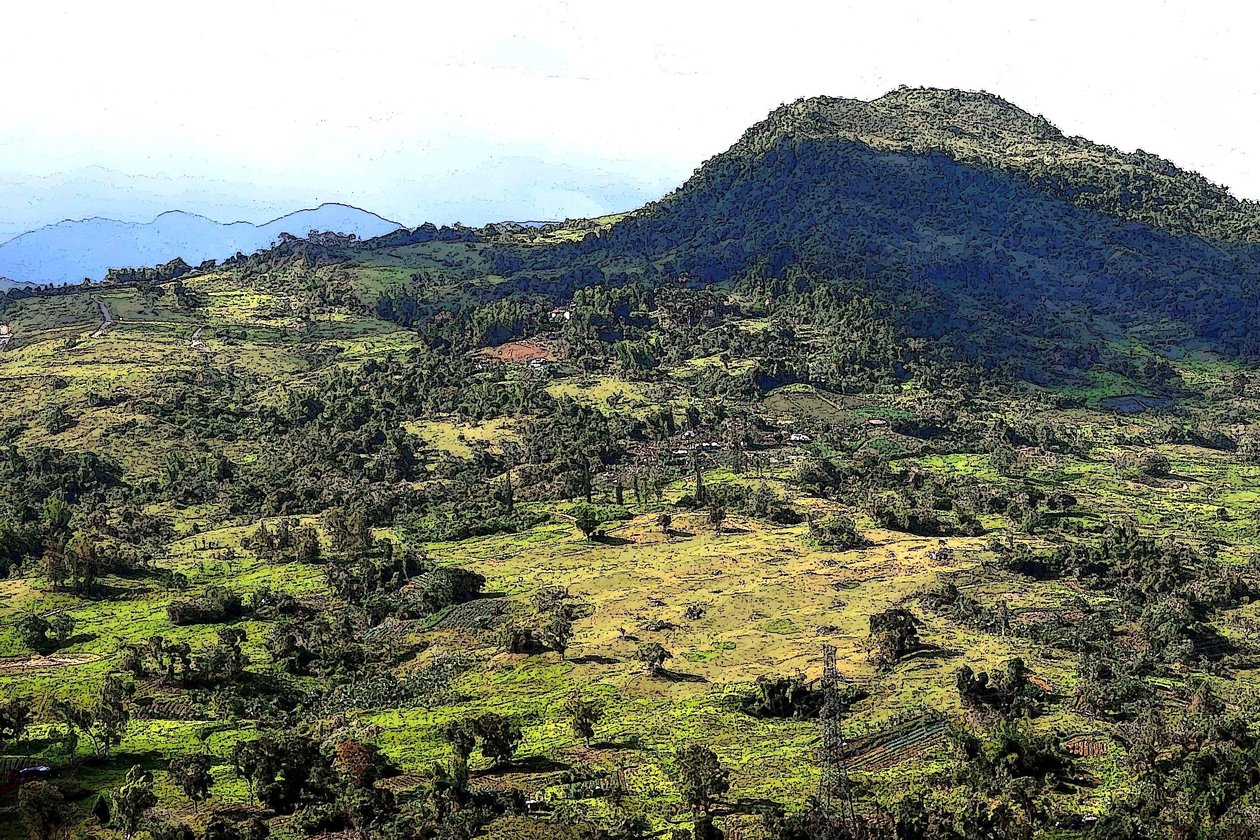 Cebu Hills od Detlef B. Fischer