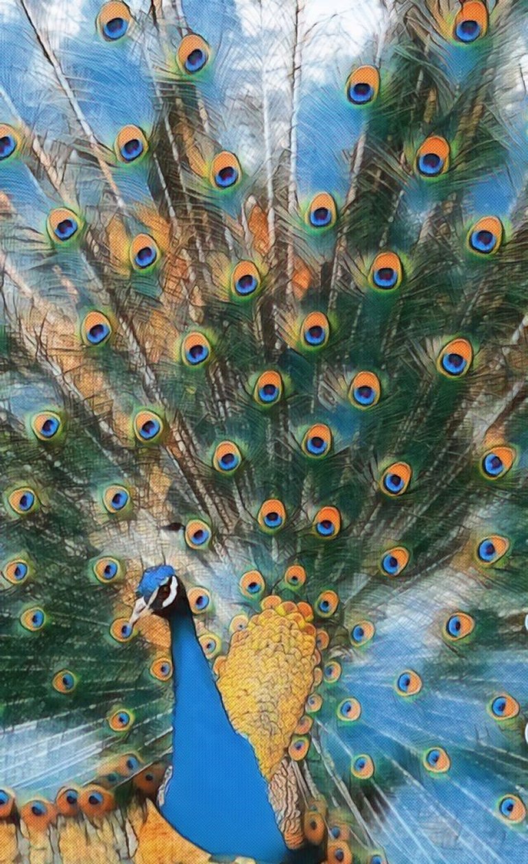 Pavo Real. od Margareta Uliarte