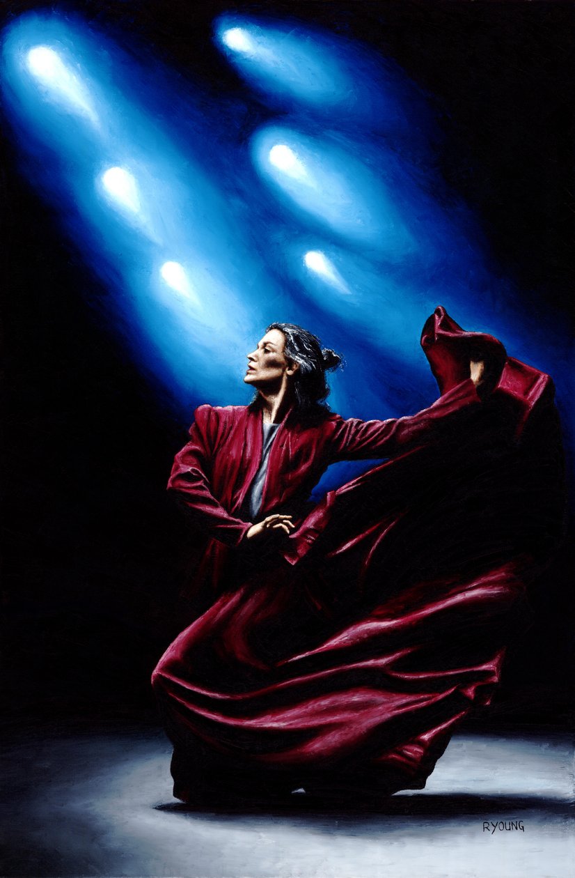 Představení flamenca od Richard Young