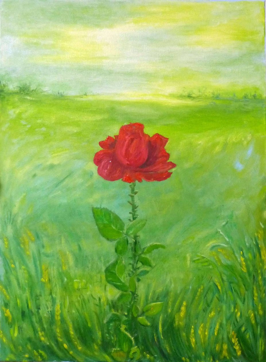 Rose od Elzbieta Goszczycka