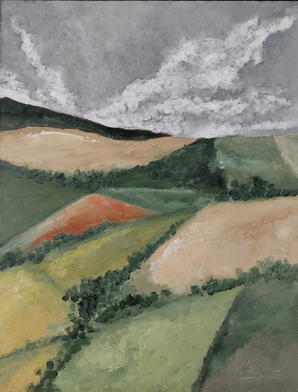 Živé ploty mezi poli od M. Vet