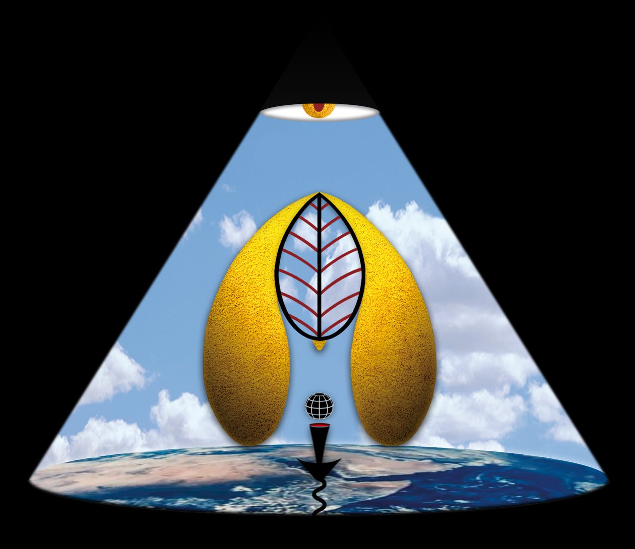 Im Anfang war das Wort (aus der Serie Lichtung) od Alexander Eibach