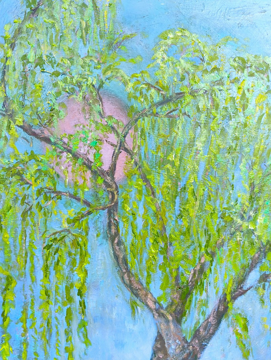 Vrba, která se nesměje od Elzbieta Goszczycka