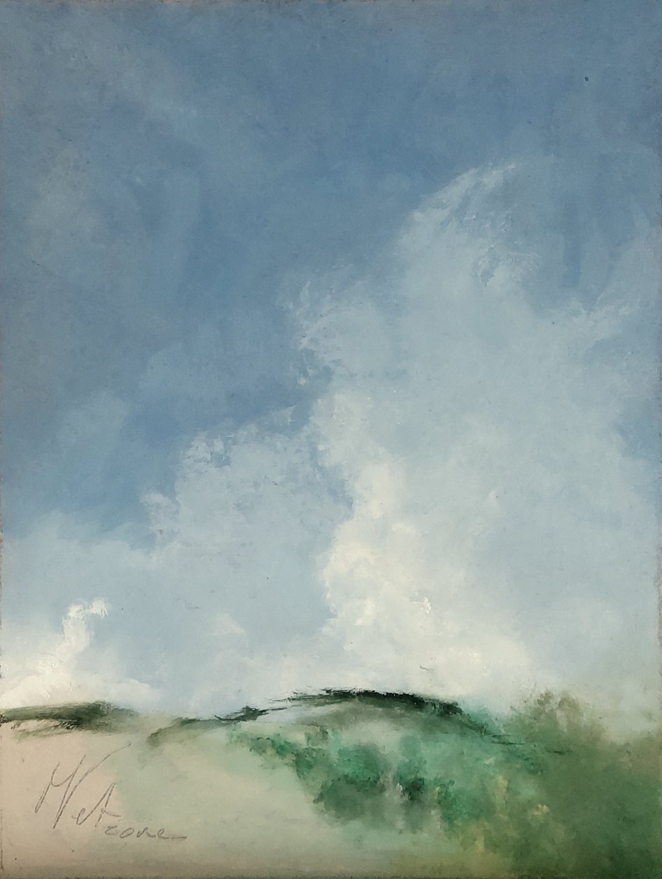 Bažinaté místo od M. Vet