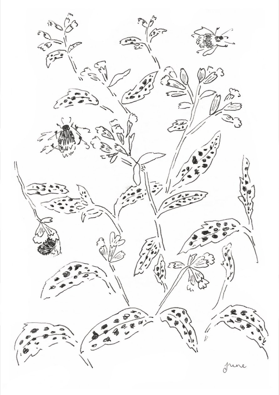  od june art