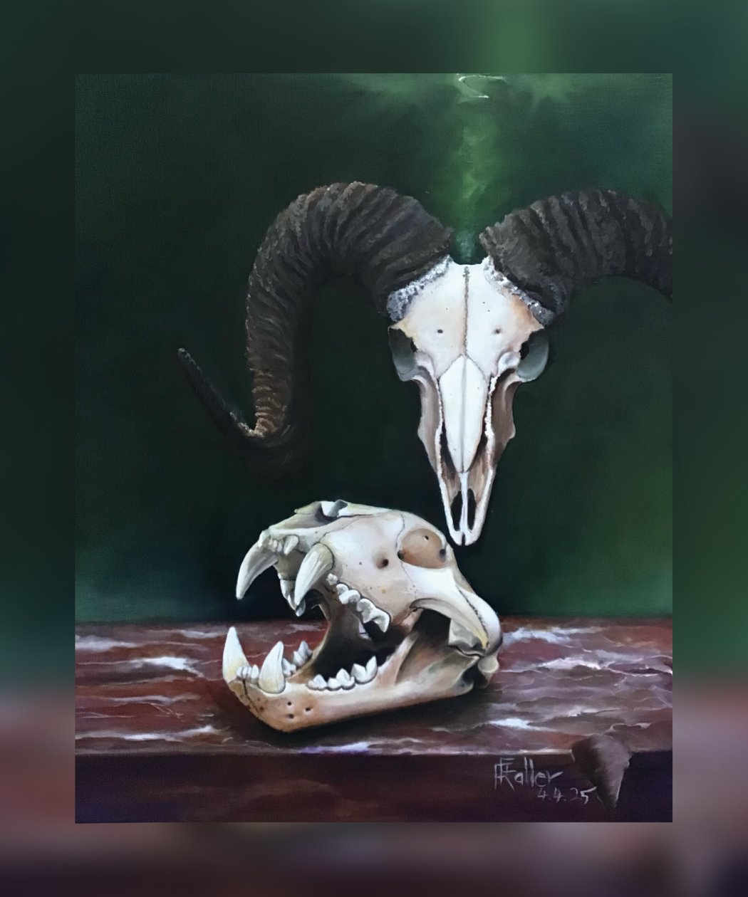 Memento mori (Studie zvířecích lebek) od Faller Rüdiger - Tician