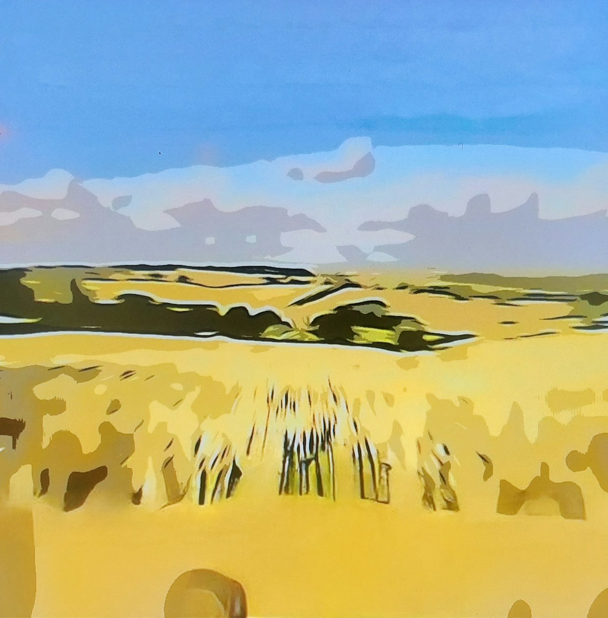 Digitale Landschaft 15 od M. Vet