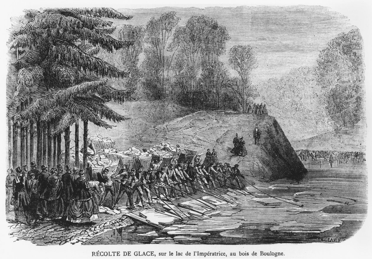 Sklizeň ledu na jezeře císařovny v Bois de Boulogne v Paříži, ilustrace z 