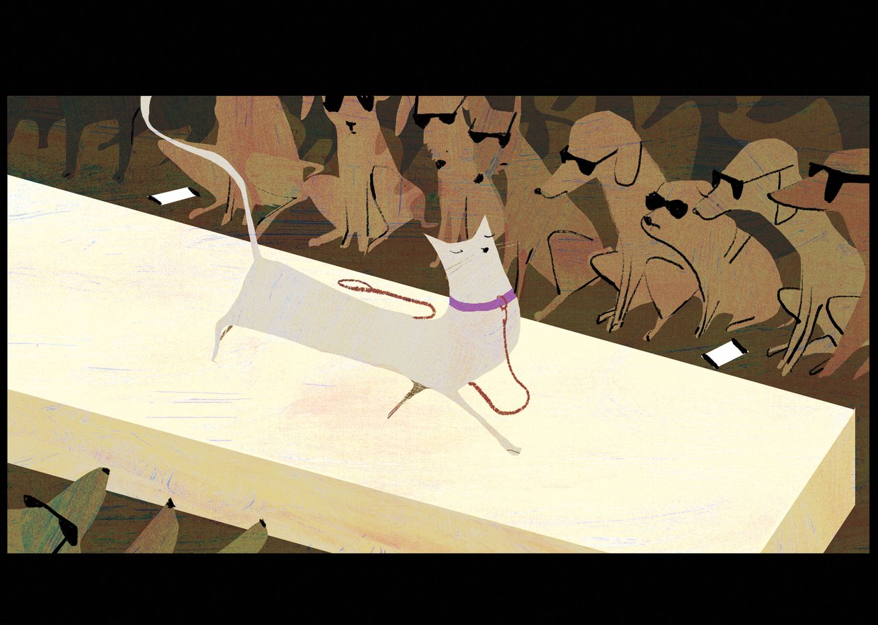 Catwalk, 2016 od A.Richard Allen