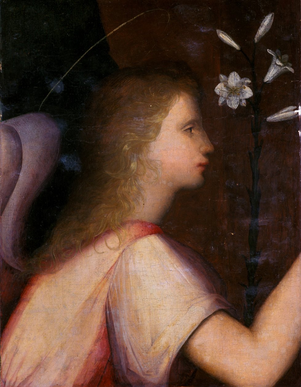Archanděl Gabriel (tempera na dřevě) od A. 1485 c.1525 Piccinelli