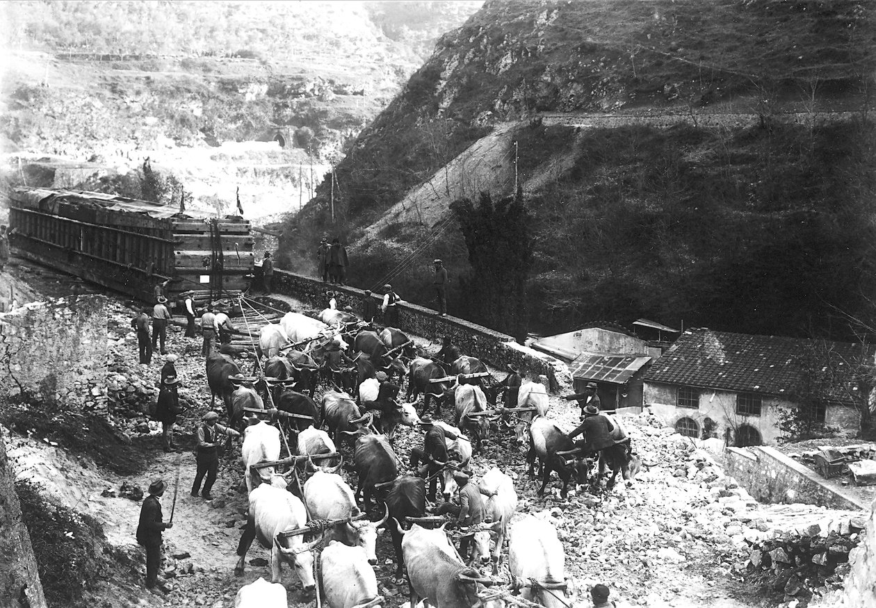 Množství volů převáží obrovský konvoj s mramorem, který byl právě přivezen do údolí z apuánského lomu (čb foto) od A. Corsini