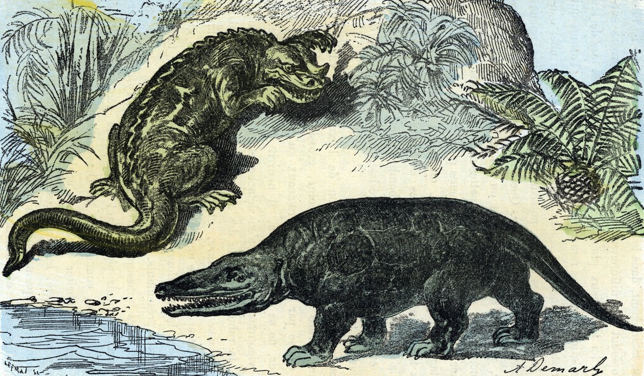 Esihistoria: iguanodonin ja megalosauruksen esitys liitukaudelta od A. Demarle