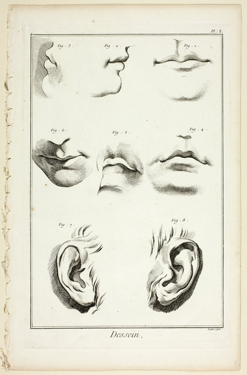 Design: Facial Anatomy z Encyclopédie od A. J. Defehrt